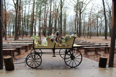A horse drawn carriage sits on a wooden platform in a wooded area.